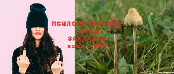 ECSTASY Волоколамск