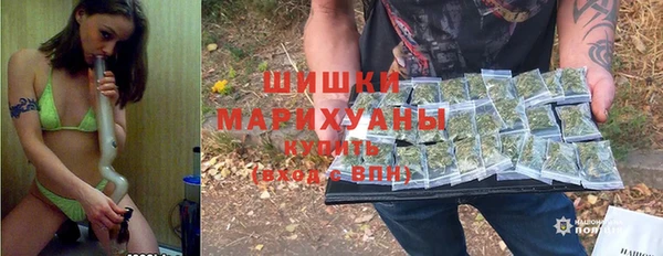 дмт Переславль-Залесский