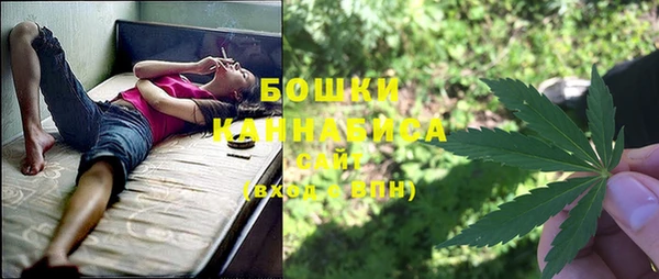 spice Володарск